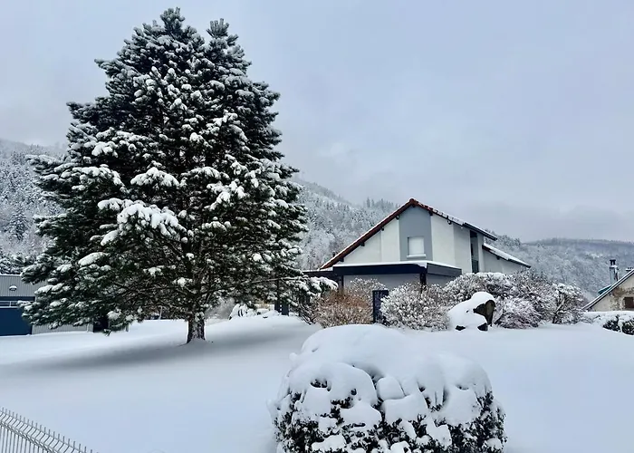 Holiday home Notre Ecrin Vosgien - De Prestige, & Jeux *