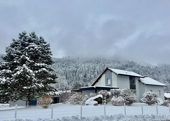 Holiday home Notre Ecrin Vosgien - De Prestige, & Jeux *